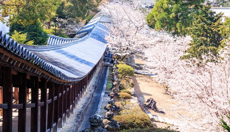 吉備津神社🌸