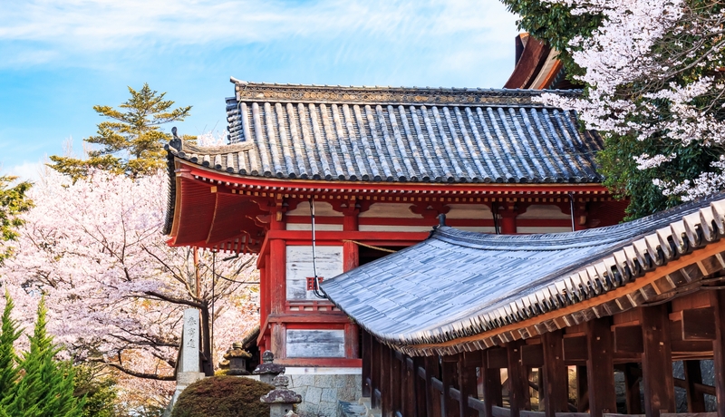 吉備津神社🌸