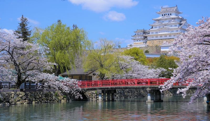 姬路城🌸