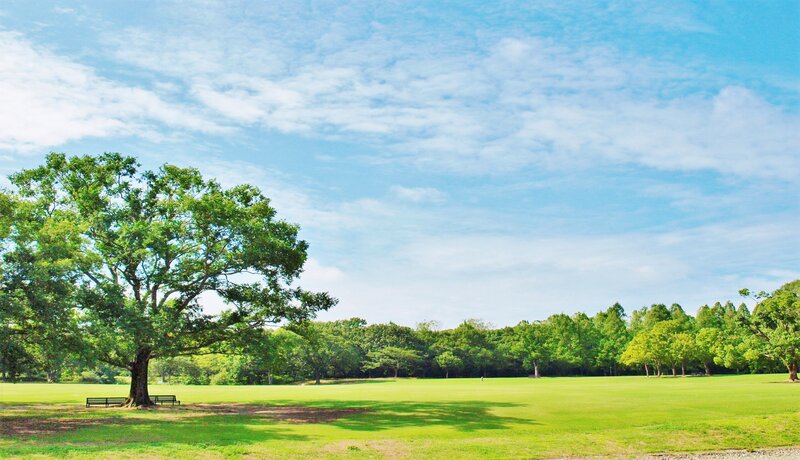 萬博紀念公園