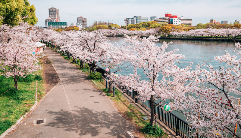 毛馬櫻之宮公園