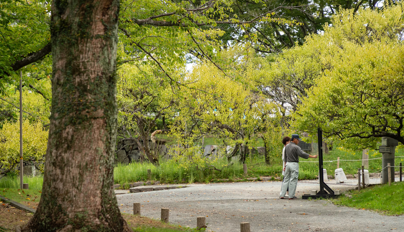 舞鶴公園