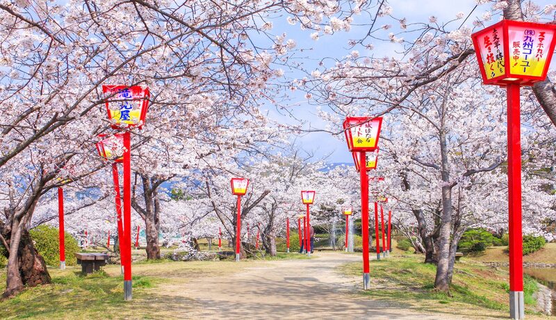 小城公園🌸