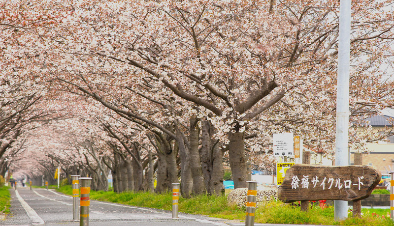 徐福自行車車道🌸