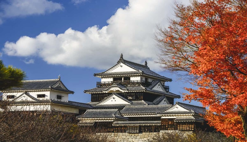 松山城(賞楓)