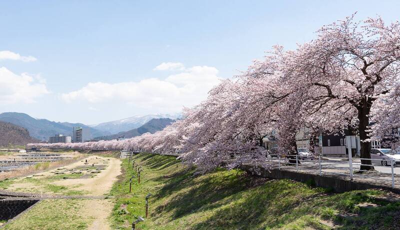 馬見崎櫻木花道